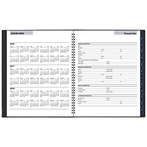 DayMinder Monthly Planner 2017, 8-1/2 x 11", Traditional, Color Selected For You May Vary (GC470-10)