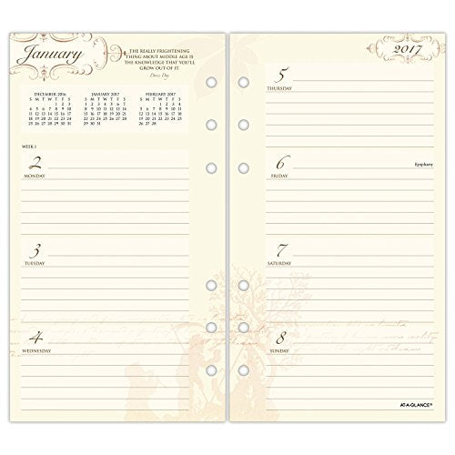 Day Runner Weekly / Monthly Planner Refill 2017, 3-3/4 x 6-3/4", Size 3, Poetica (3042-100)
