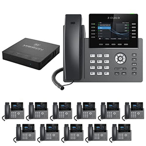 MM MISSION MACHINES S-100 Business Phone System: Platinum Pack - Auto Attendant/Voicemail, Wi-Fi, Cell & Remote Phone Extensions, Call Record & Phone Service - 2 Months (12 Bundle)