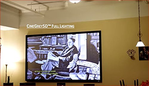 Elite Screens ezFrame CineGrey 5D, 135" Diagonal 16:9, 8K 4K Ultra HD Ready Ceiling Light Rejecting and Ambient Light Rejecting Fixed Frame Projector Screen, CineGrey 5D Projection Material, R135DHD5