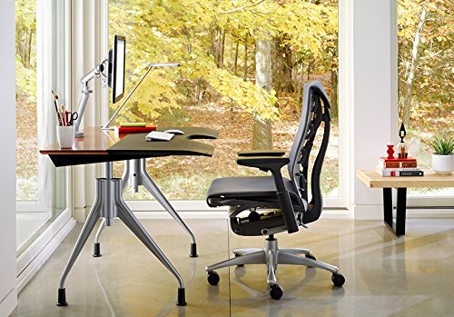 Herman Miller Embody Ergonomic Office Chair | Adjustable Arms & Carpet Casters | Black Rhythm