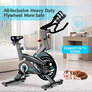 L NOW Indoor Exercise Bike Stationary, Belt Drive Indoor Cycling Bike for Home Office Cardio Workout Bike Training Max 350Ibs With Wire to Connect Phone (E6)