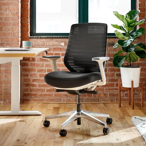 Branch Ergonomic Chair - Adjustable Lumbar Support, Breathable Mesh Backrest - Black