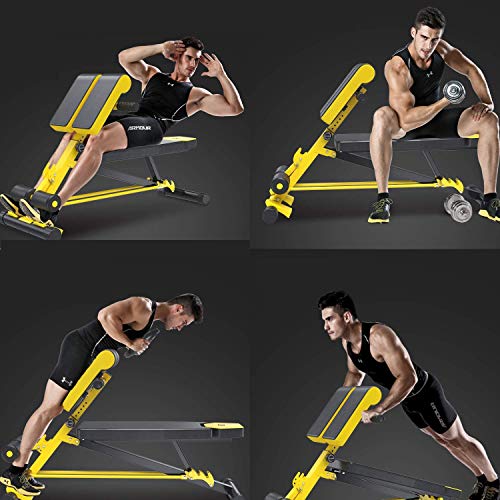 Byakns Home or Commercial Leg Muscle Fitness equipmentMulti-Functional Dumbbell Bench, Roman Chair with 5 Adjustments, Abdominal Hyper Back Extension Bench, Ab Sit up Bench Home Strength Training