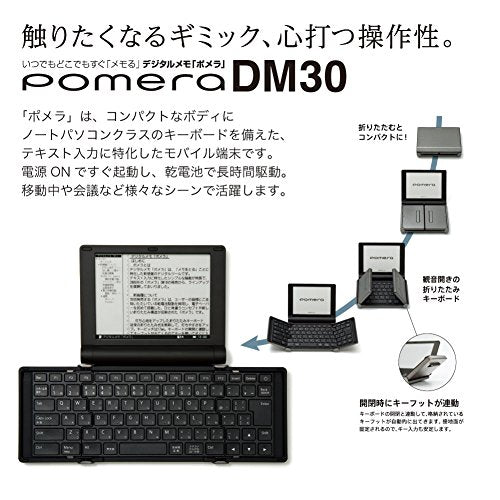 KINGJIM digital memo Pomela Silva - DM30 Sil (Japan Domestic genuine products)