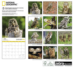 National Geographic Owls 2018 Wall Calendar