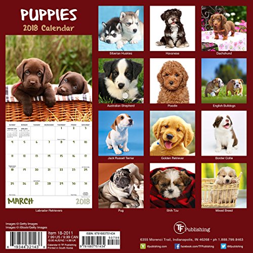 2018 Puppies Mini Calendar