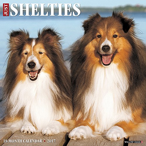 Just Shelties 2017 Wall Calendar (Dog Breed Calendars)