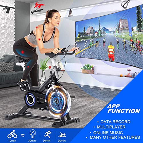 FUNMILY Indoor Cycling Bike - Stationary Exercise Bikes with LCD Monitor, Adjustable Resistance, Pad/Phone Holder, Heart Rate, Quiet for Home/ Office Workout (Black)