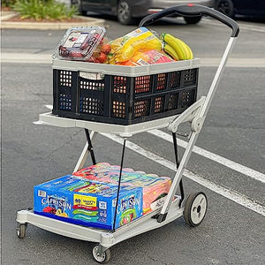 EasyGo Product Folding Utility Shopping Cart with 2 Collapsible Storage Crates - Folds Flat, Fits in Car Trunk - Ideal for Shopping, Laundry, Sports - Parking Brake