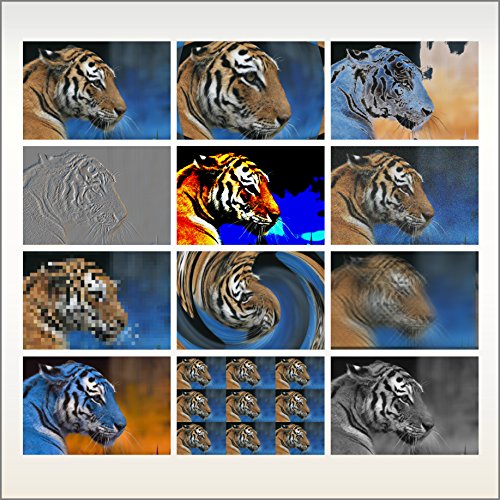 Sign Design Vinyl Cutting Plotting Software Professional Edition VinylMaster PRO