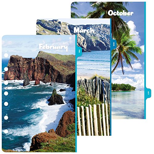 Day-Timer Daily Planner Refill 2017, Two Page Per Day, Loose Leaf, 5-7/16 x 8-1/2", Desk Size, Coastlines (13180)