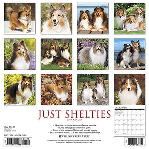 Just Shelties 2017 Wall Calendar (Dog Breed Calendars)