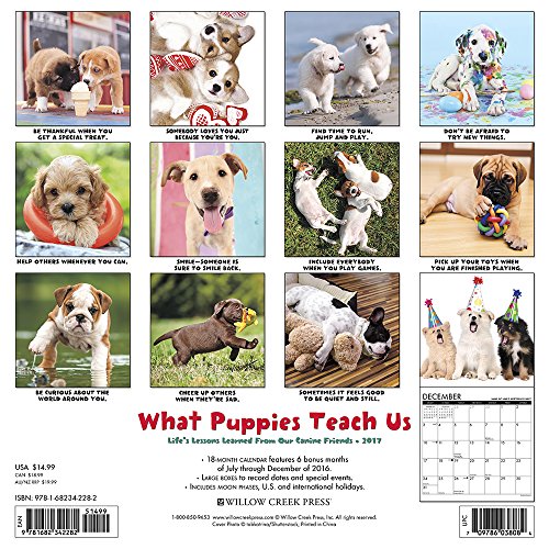 What Puppies Teach Us 2017 Calendar