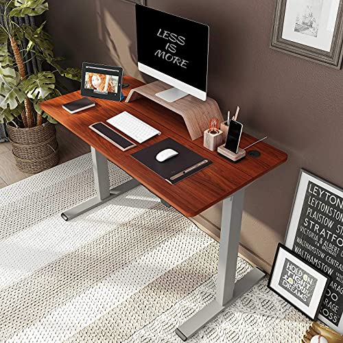 Flexispot Standing Desk 48 x 24 Inches Height Adjustable Desk Electric Sit Stand Desk Home Office Desks Vici (Gray Frame + Mahogany Top)