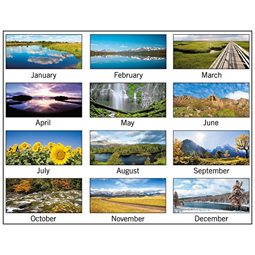 AT-A-GLANCE Wall Calendar 2017, 3 Month View, 12 x 27", Scenic (DMW503-28)