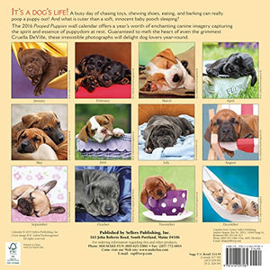 Pooped Puppies 2016 Calendar