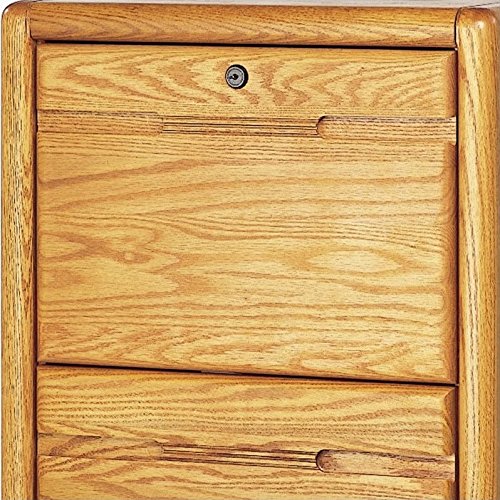 Beaumont Lane Contemporary Wood 4 Drawer Vertical File Cabinet in Oak