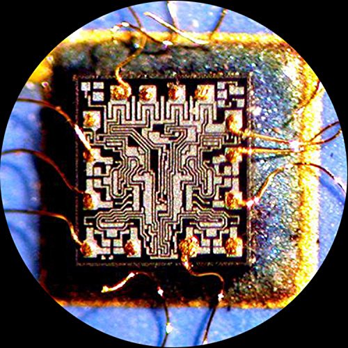 AmScope ZM-4TW3 Professional Trinocular Stereo Zoom Microscope, EW10x and EW25x Eyepieces, 2X-225X Magnification, 0.67X-4.5X Zoom Objective, Ambient Lighting, Double-Arm Boom Stand, Includes 0.3x and 2.0x Barlow Lenses