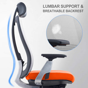 GAOAG Ergonomic Office Chair High Back Lumbar Support Adjustable Swivel Best 2019 Luxury Mesh Chair with Armrest Headrest Orange Grey
