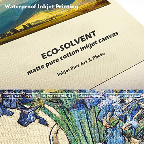 Eco-Solvent Matte Pure Cotton Inkjet Canvas (54" x 60'(Pack of 4))