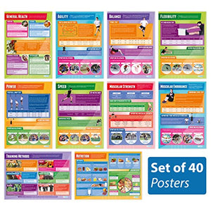 Physical Education Posters - Set of 40 | PE Posters | Gloss Paper measuring 33” x 23.5” | Physical Education Charts for the Classroom | Education Charts by Daydream Education