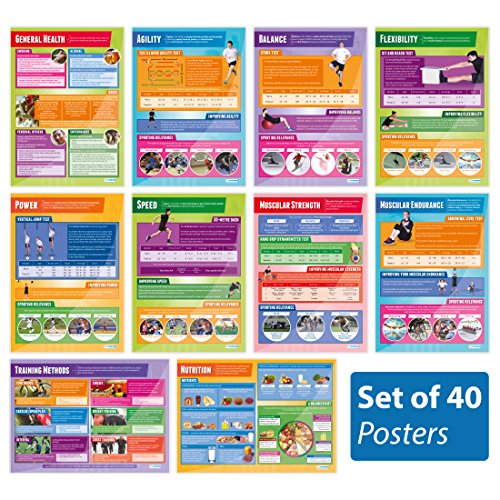 Physical Education Posters - Set of 40 | PE Posters | Gloss Paper measuring 33” x 23.5” | Physical Education Charts for the Classroom | Education Charts by Daydream Education