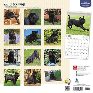 Black Pugs - 2017 Calendar 12 x 12in