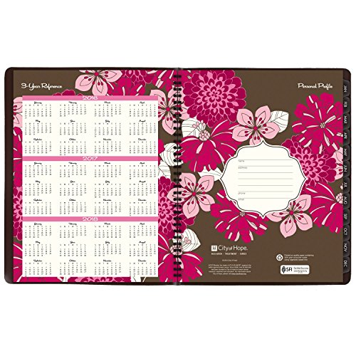 AT-A-GLANCE Weekly / Monthly Appointment Book / Planner 2017, Sorbet, 8-1/4 x 10-7/8" (794-905)