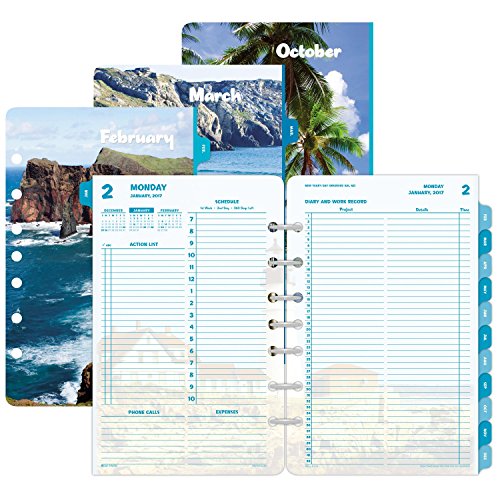 Day-Timer Daily Planner Refill 2017, Two Page Per Day, Loose Leaf, 5-7/16 x 8-1/2", Desk Size, Coastlines (13180)