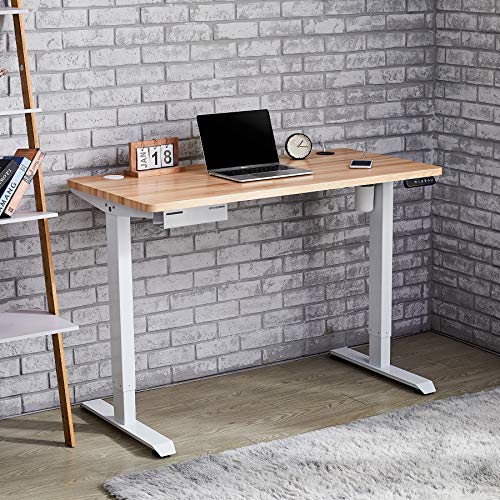 CO-Z Height Adjustable Computer Desk with USB Charging Station | 48x24 inch Motorized Sitting and Standing Desk for Home Office More | Electric Sit Stand Gaming Desk with Cable Management, White