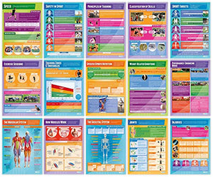 Physical Education Posters - Set of 40 | PE Posters | Gloss Paper measuring 33” x 23.5” | Physical Education Charts for the Classroom | Education Charts by Daydream Education