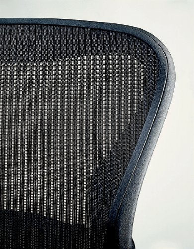 Herman Miller Embody Ergonomic Office Chair | Adjustable Arms & Carpet Casters | Black Rhythm