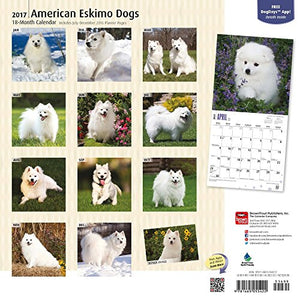 American Eskimo Dogs - 2017 Calendar 12 x 12in