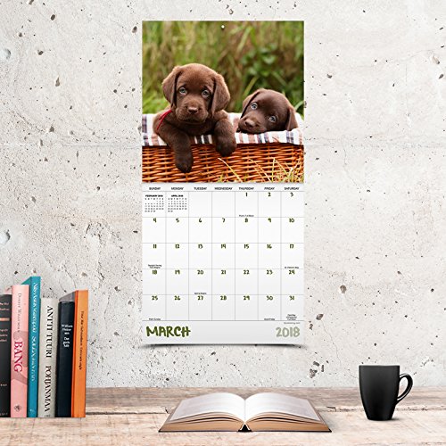 2018 Puppies Mini Calendar