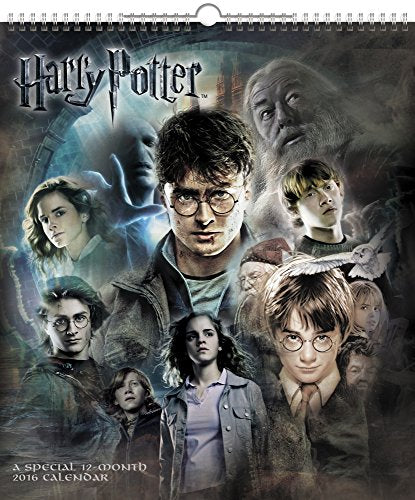 Harry Potter Poster Wall Calendar (2016)