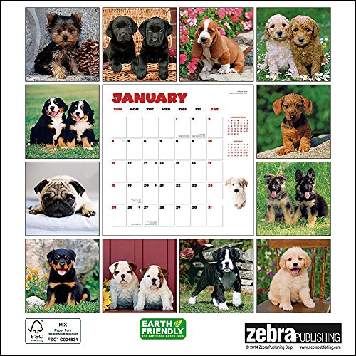 2015 Puppies Wall Calendar Zebra Publishing Corp.