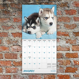 2018 Puppies Mini Calendar