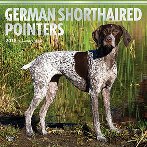 German Shorthaired Pointers 2018 12 x 12 Inch Monthly Square Wall Calendar with Foil Stamped Cover, Animals Dog Breeds