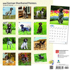 German Shorthaired Pointers 2018 12 x 12 Inch Monthly Square Wall Calendar with Foil Stamped Cover, Animals Dog Breeds