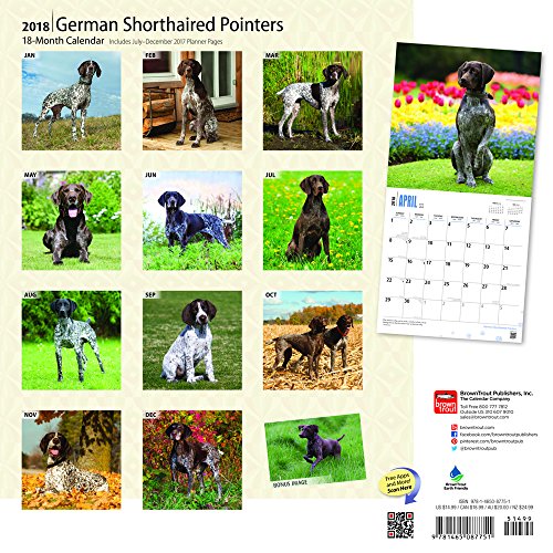 German Shorthaired Pointers 2018 12 x 12 Inch Monthly Square Wall Calendar with Foil Stamped Cover, Animals Dog Breeds