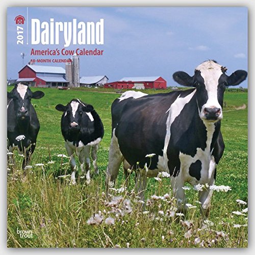 Dairyland: America's Cow Calendar 2017 Wall Calendar 12" x 12"