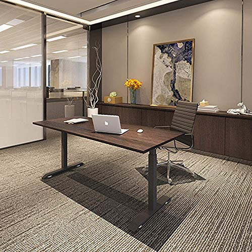 Electric Stand Up Desk Frame, Height Adjustable Standing Desk Base with Dual Electric Motor and Memory Controller, DIY Ergonomic Desk Frame Legs for Home, Office(Frame Only)